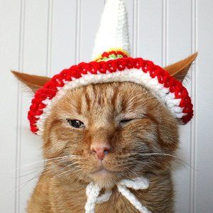 HAND CRAFTED Crochet Sombrero Cinco De Mayo Cat Hat Costume Photo Prop